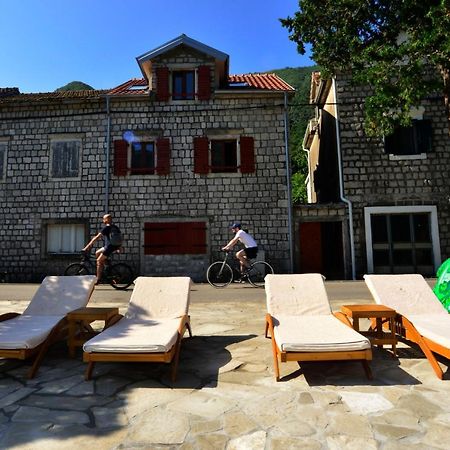 A Hundred Olive Trees Apartments Kotor Ngoại thất bức ảnh