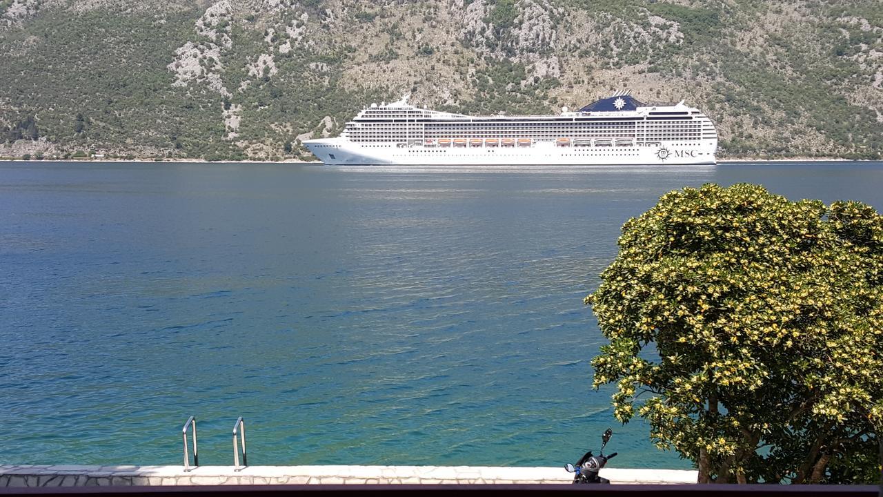 A Hundred Olive Trees Apartments Kotor Ngoại thất bức ảnh