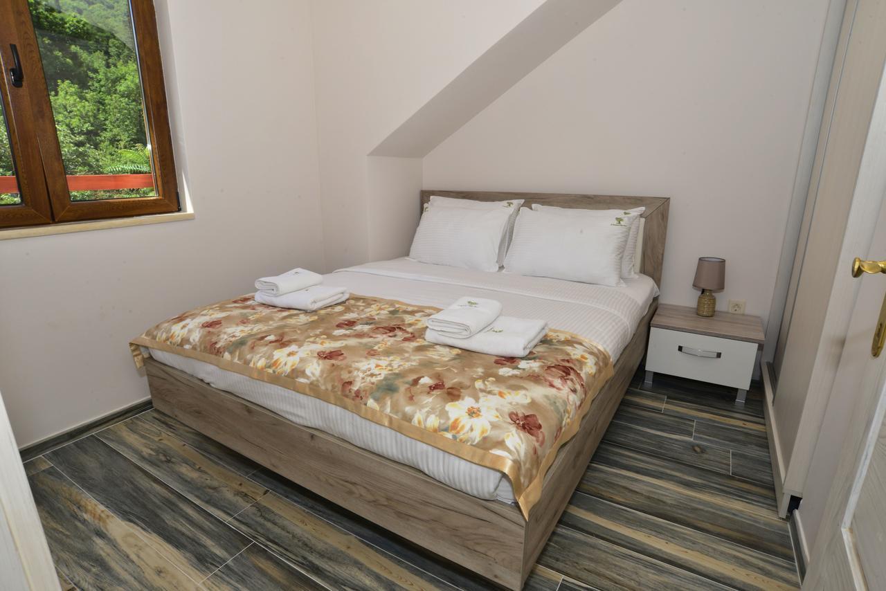 A Hundred Olive Trees Apartments Kotor Ngoại thất bức ảnh