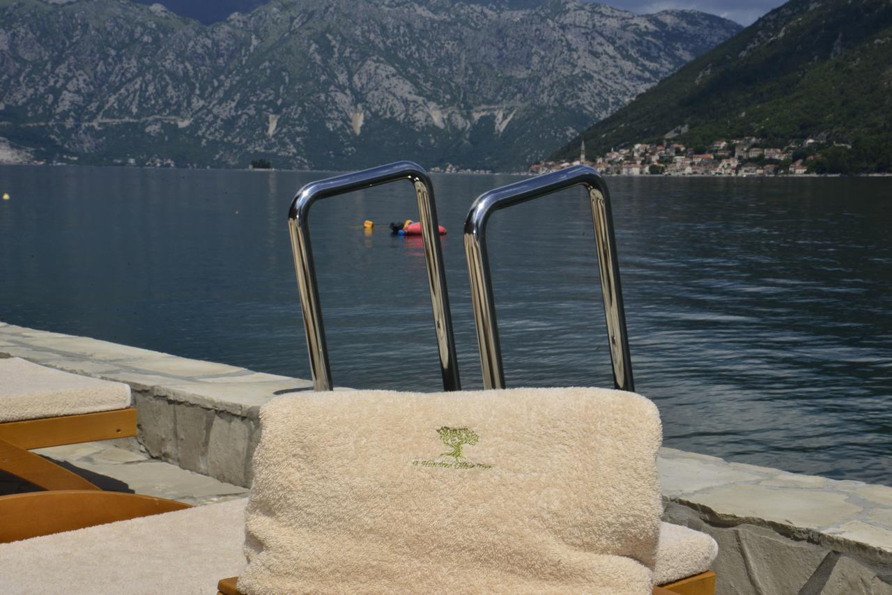 A Hundred Olive Trees Apartments Kotor Ngoại thất bức ảnh