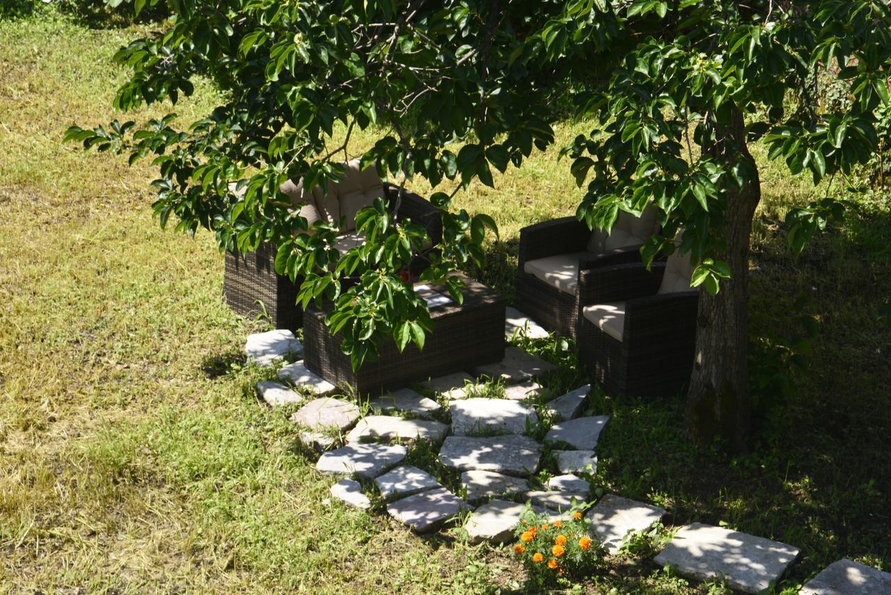 A Hundred Olive Trees Apartments Kotor Ngoại thất bức ảnh