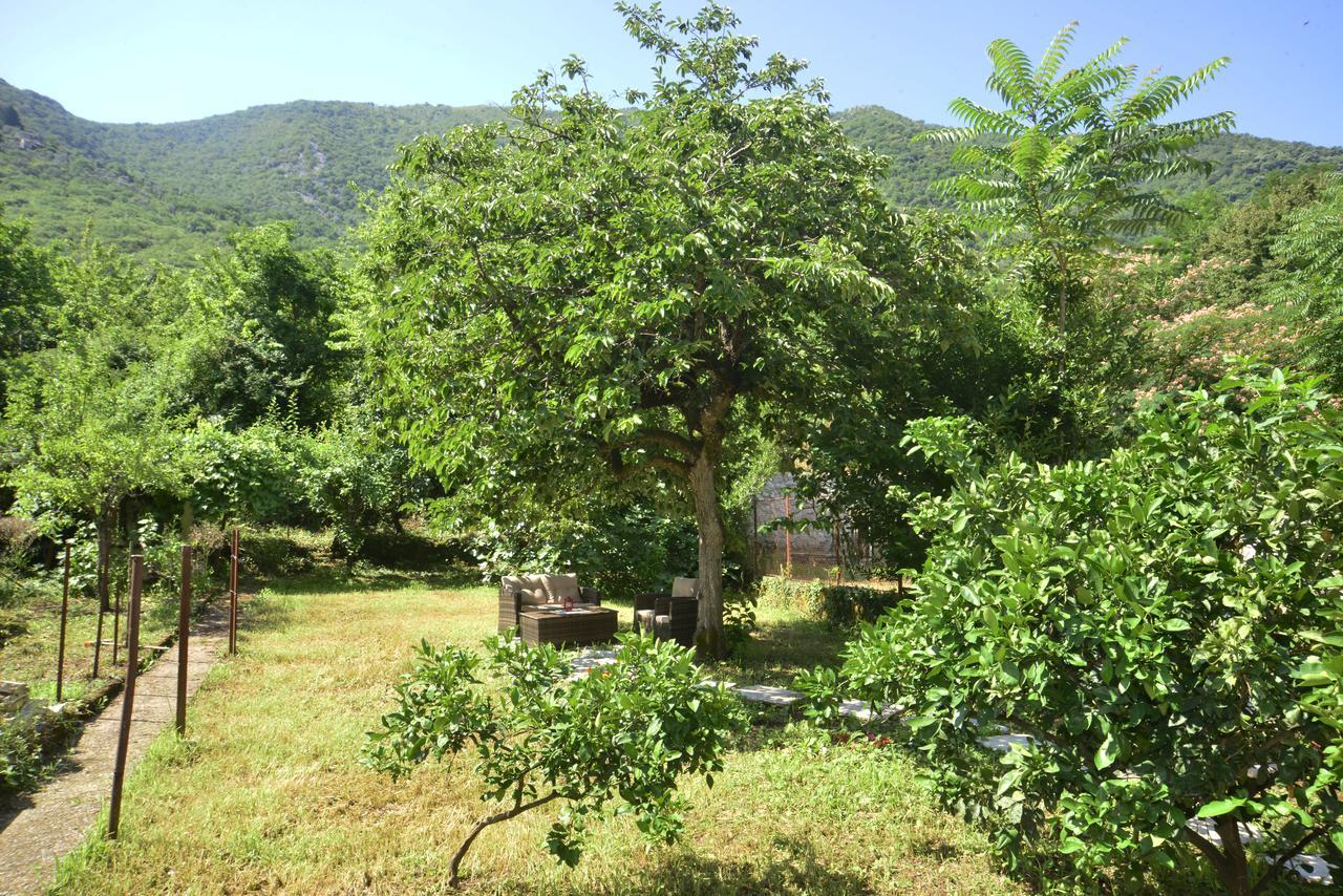 A Hundred Olive Trees Apartments Kotor Ngoại thất bức ảnh