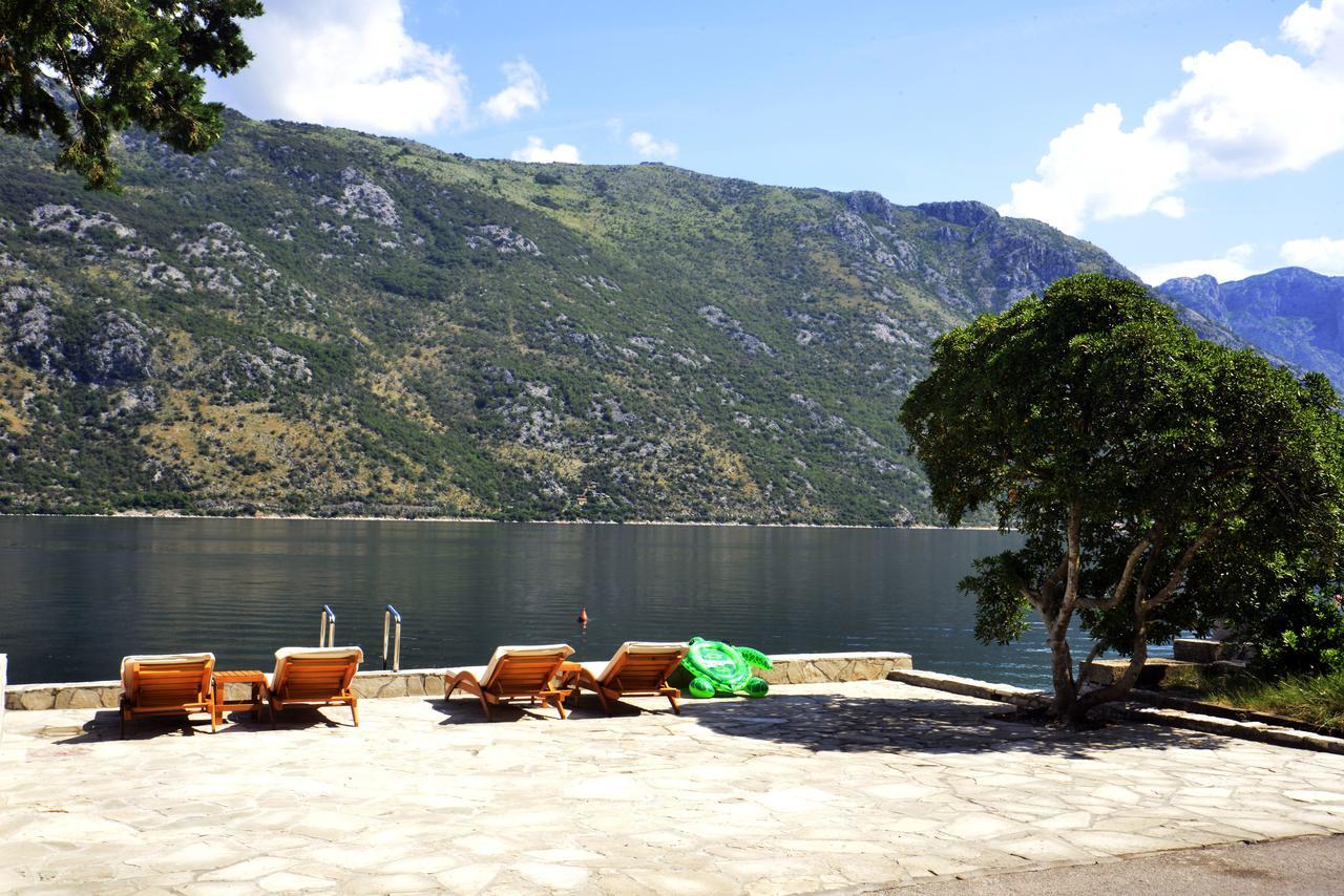 A Hundred Olive Trees Apartments Kotor Ngoại thất bức ảnh