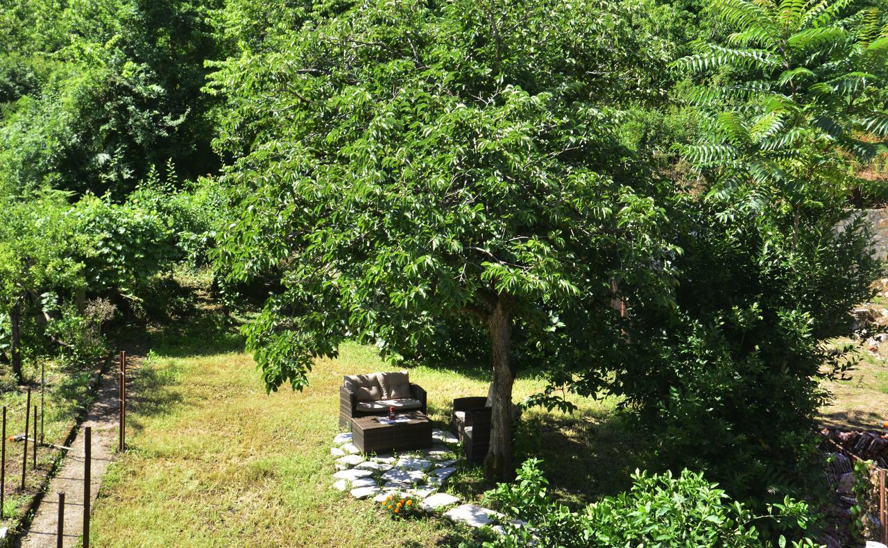 A Hundred Olive Trees Apartments Kotor Ngoại thất bức ảnh