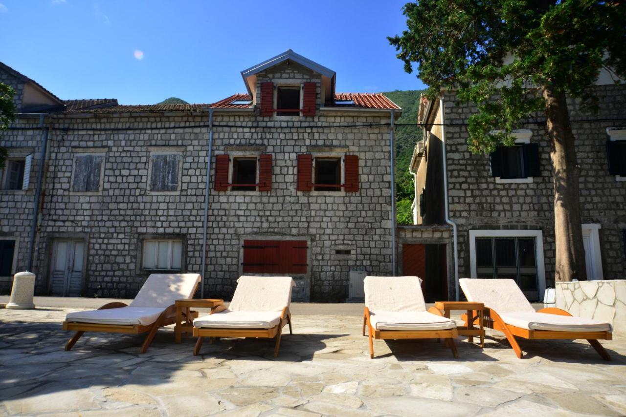 A Hundred Olive Trees Apartments Kotor Ngoại thất bức ảnh
